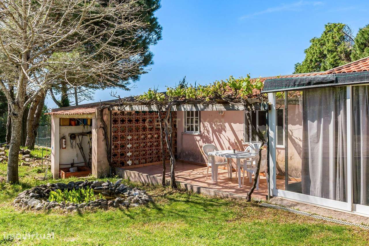 Quinta de 14000m2 com moradia T4 e piscina | Sintra-29