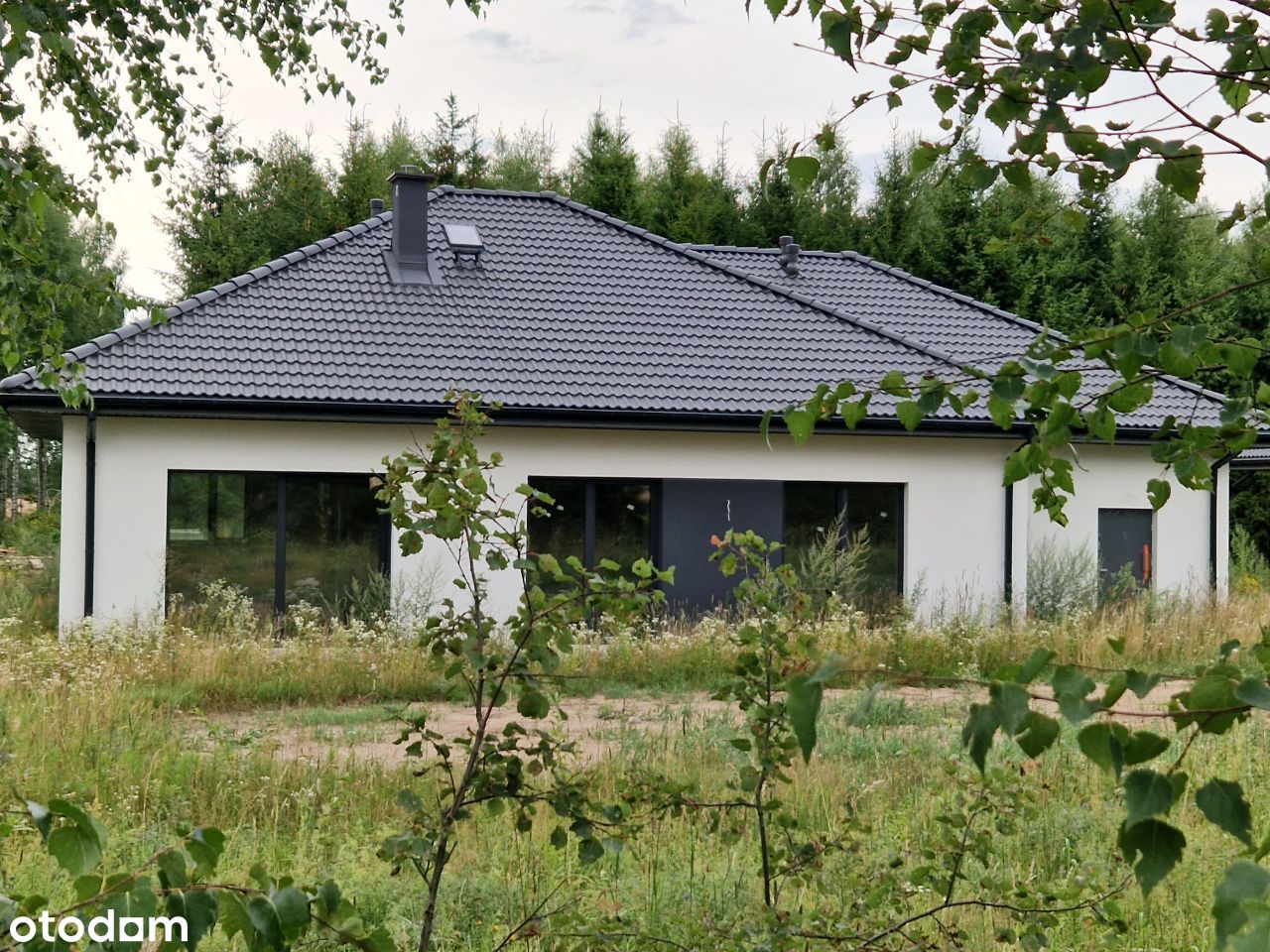 Nowy, parterowy dom przy lesie w Reglu k/Ełku