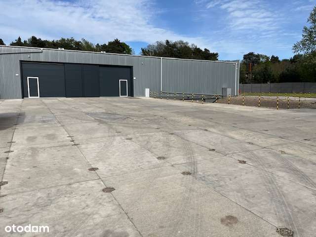 Radzewice hala magazyn, po remoncie - Pełny obrazek: 4/9