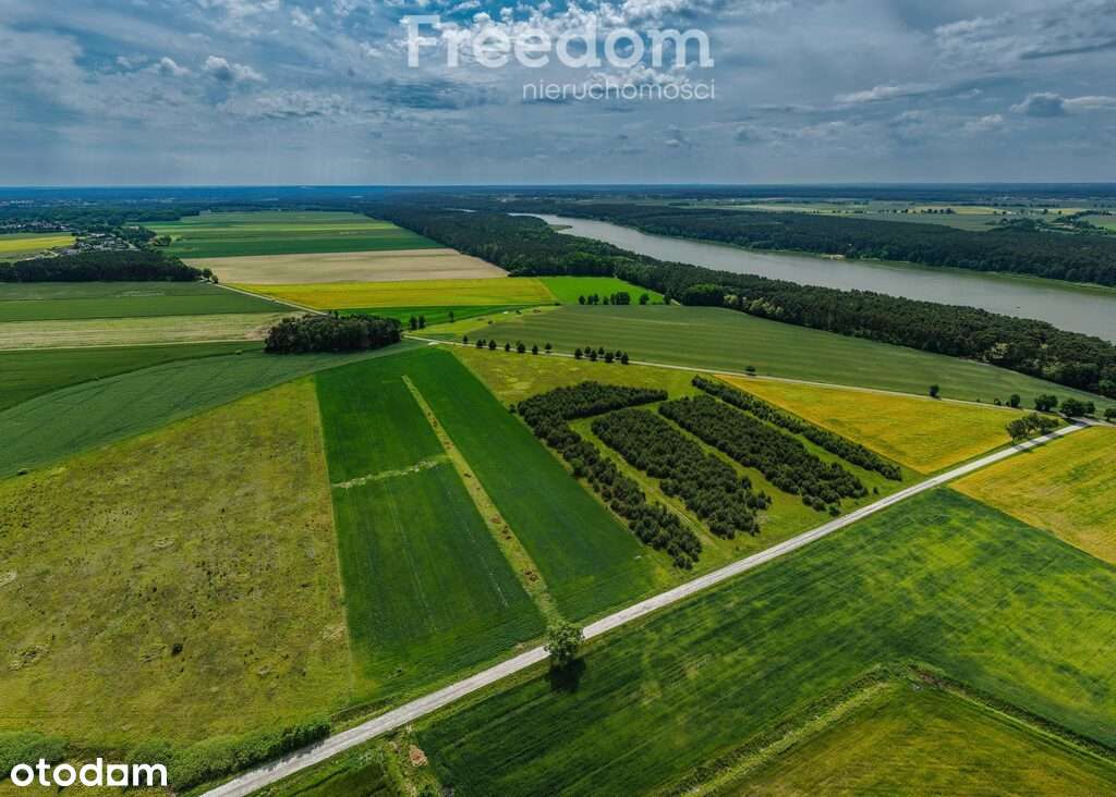 Atrakcyjna działka w Grzybowo, gm. Skoki - Pełny obrazek: 4/9