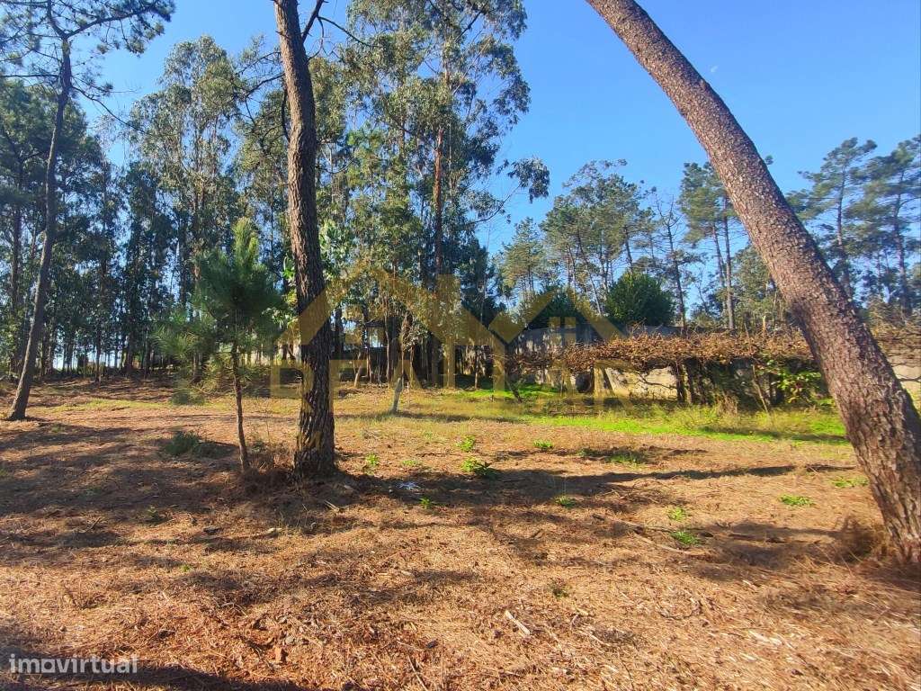 Excelente Terreno em Cristelo - Barcelos - Grande imagem: 4/25