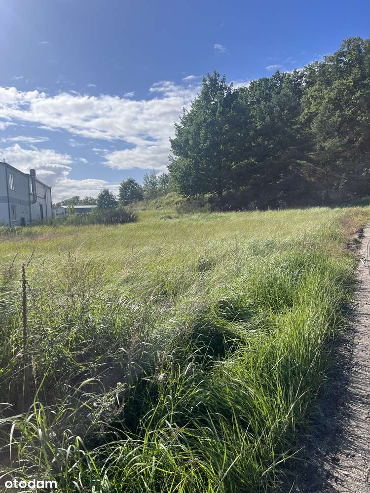 Działka inwestycyjna 1 361 m² – Lubicz Dolny, gmina Lubicz