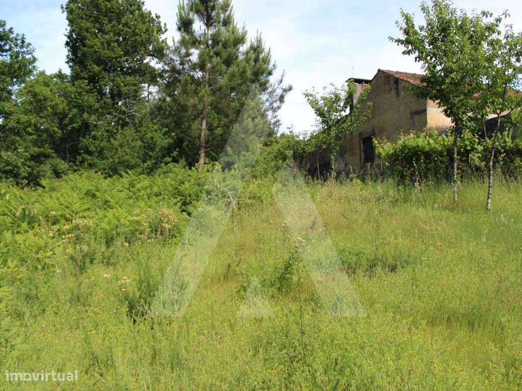 Terreno rústico com possibilidade de construção - Grande imagem: 4/21