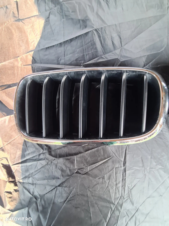 Grilă Radiator BMW X5 F15 - 2