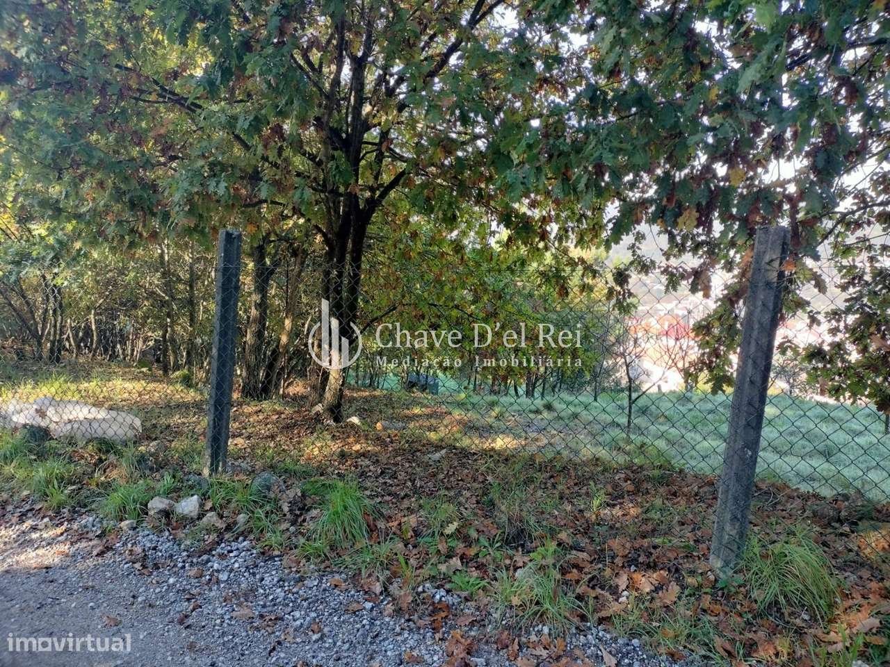 Lote de Terreno  Venda em Orgens,Viseu - Grande imagem: 2/15