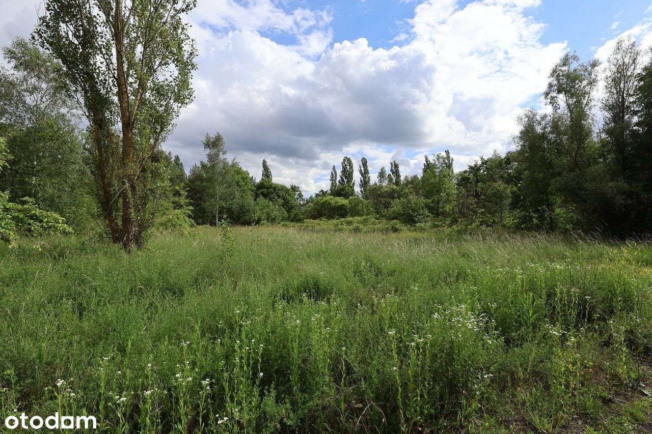 Atrakcyjna cenowo nieruchomość pod inwestycje-6