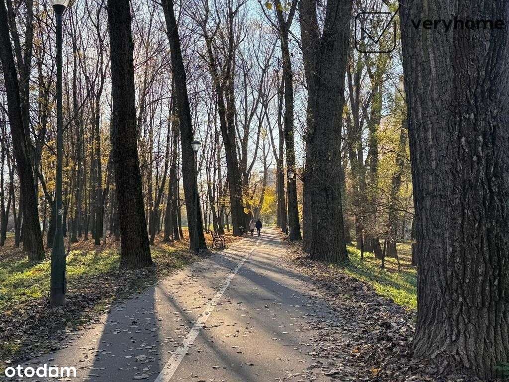 3 pokoje / Top lokalizacja / super układ / do remontu-7