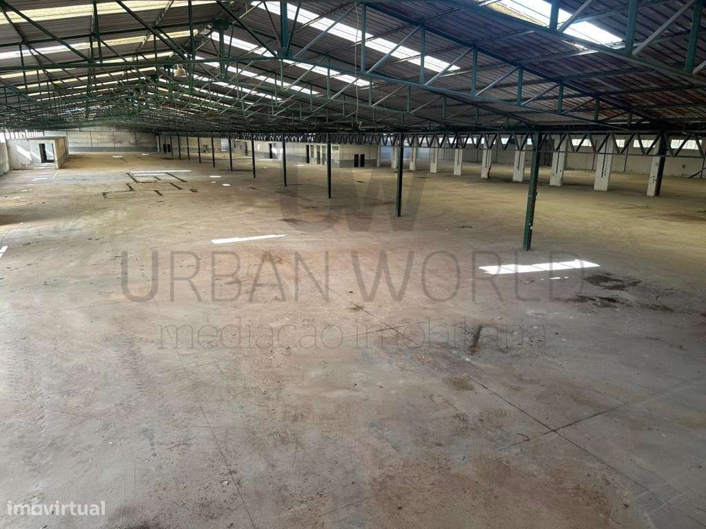 Armazém Industrial, Z. Industrial Torres Novas - Santarém, 12.056 m2-9