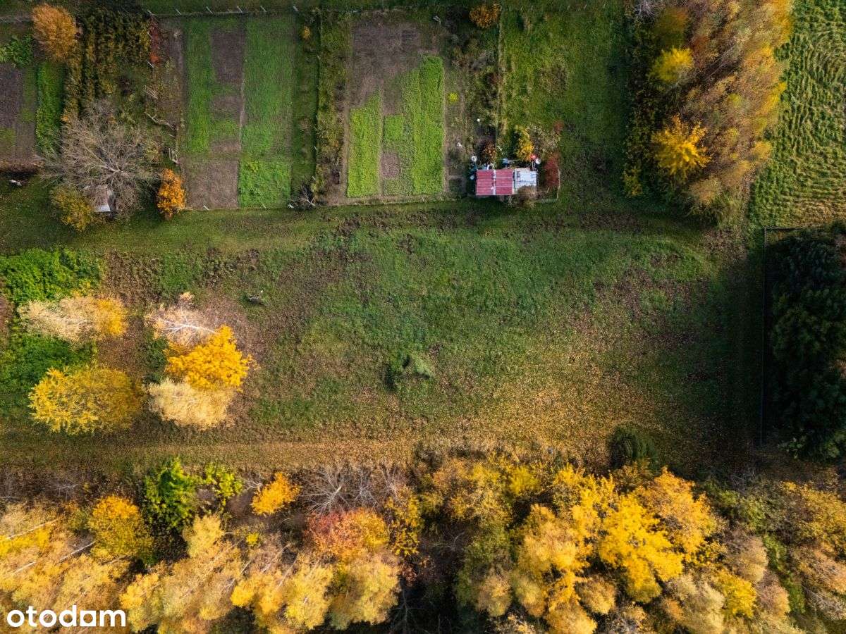 Kameralna okolica | Krakowska | WZ | Zieleń-7