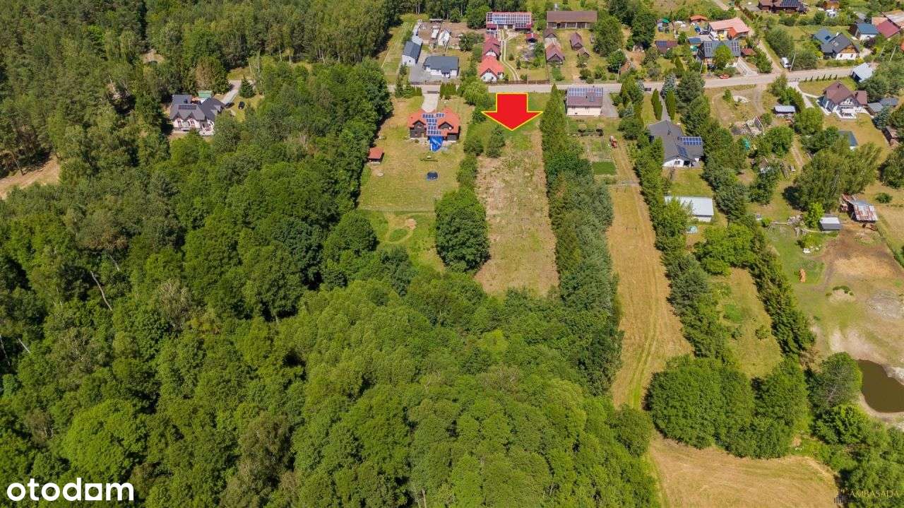 ***Za Miastem, Blisko Lasu*** - Pełny obrazek: 5/7