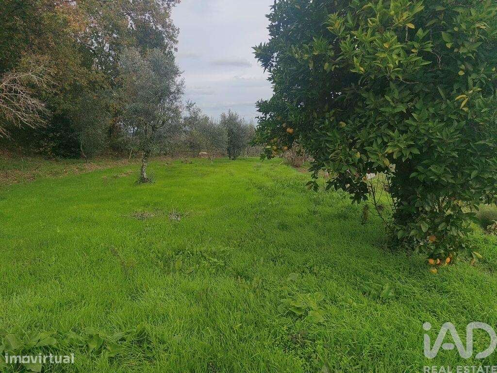 Casa de Campo em Seixo da Beira de 166 m2 - Grande imagem: 2/19