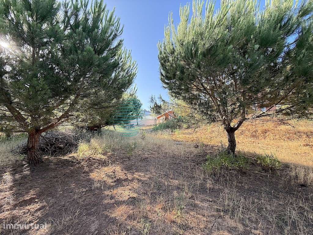 Excelente Moradia/Quintinha PISO TÉRREO V4, Ramalhal-44