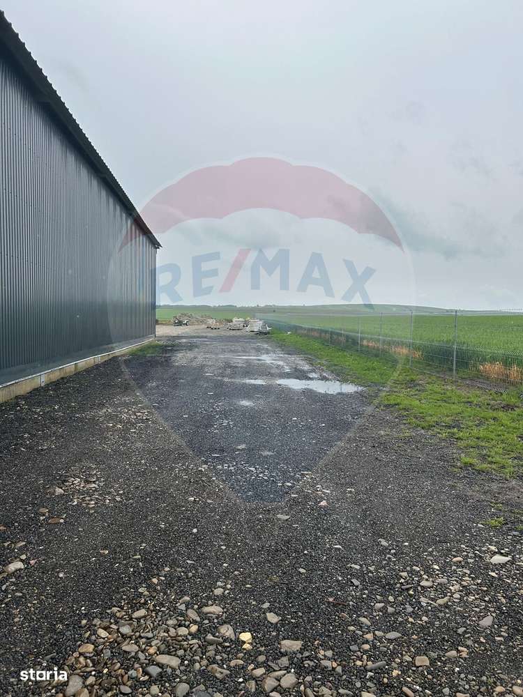 HALA -  Spațiu industrial de 345mp de închiriat - Imagine principală: 2/5