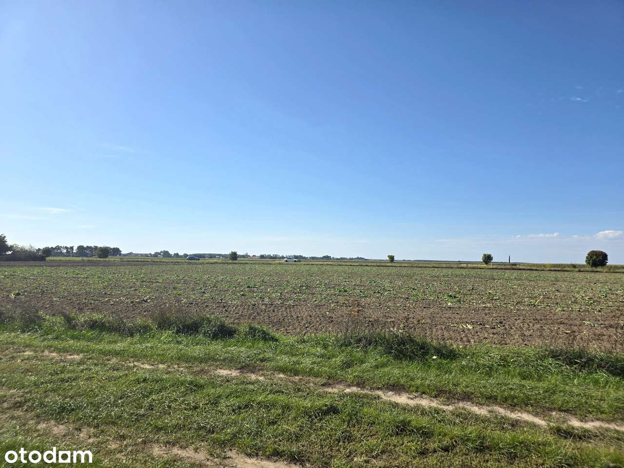 Działka usługowa Wschowa (woj. lubuskie)-6