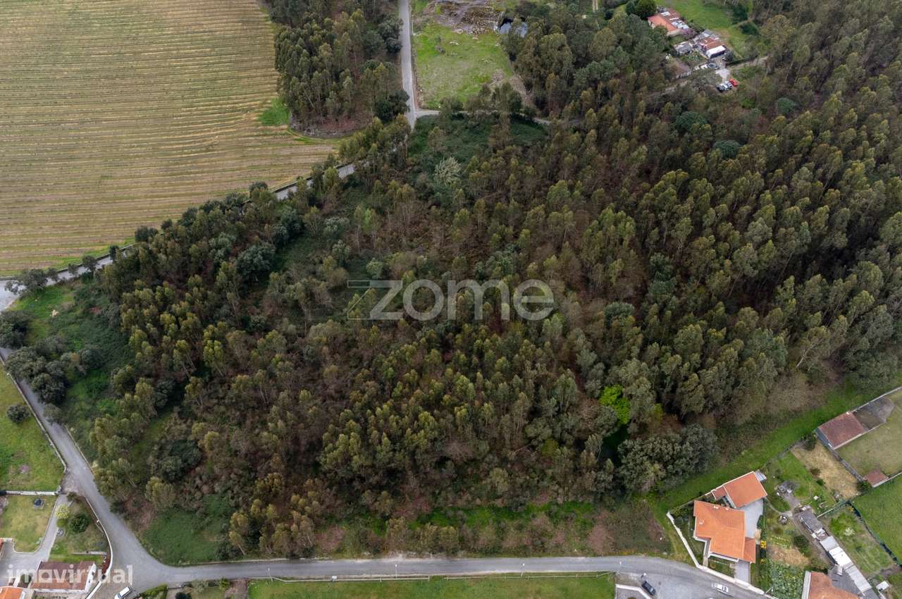 Terreno Urbanizável para venda / Permuta em Santo Tirso - Grande imagem: 3/15