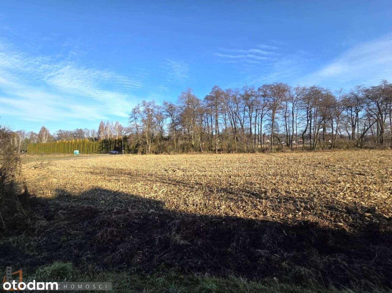 Działka, 3 900 m², Pękowice-2