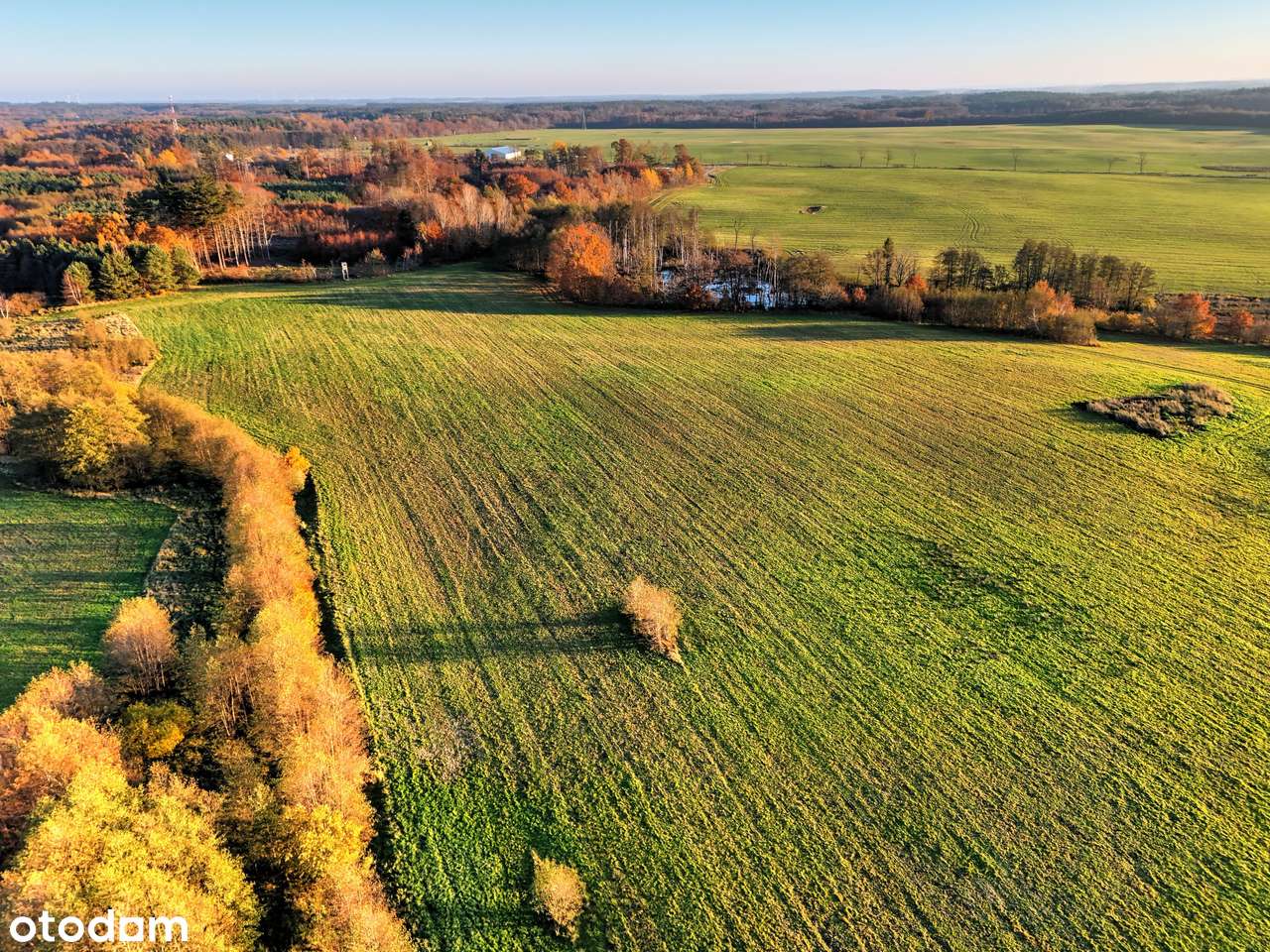 Działka na sprzedaż-8