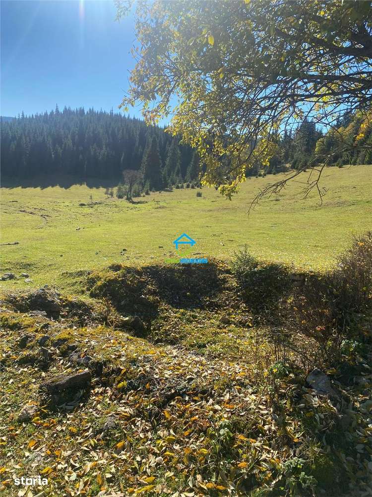 NOU - Teren extravilan la Poiana Horea - Belis - 16.000 mp - Imagine principală: 5/6