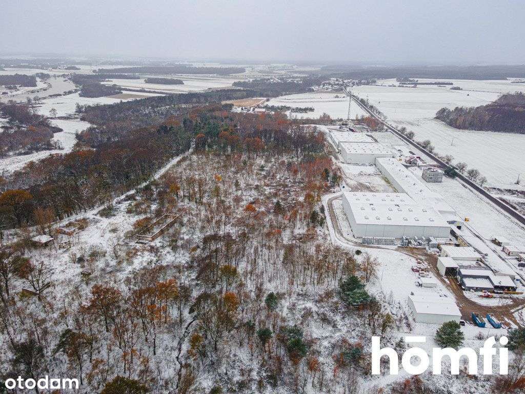 [Licytacja] Grunt 3,7 ha | jednorodzinna | Mpzp - Pełny obrazek: 5/10