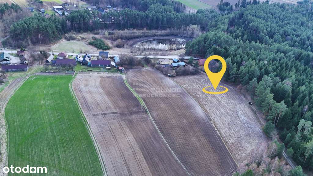 Ucieknij od zgiełku – działki w Róży gm. Susiec - Pełny obrazek: 4/11