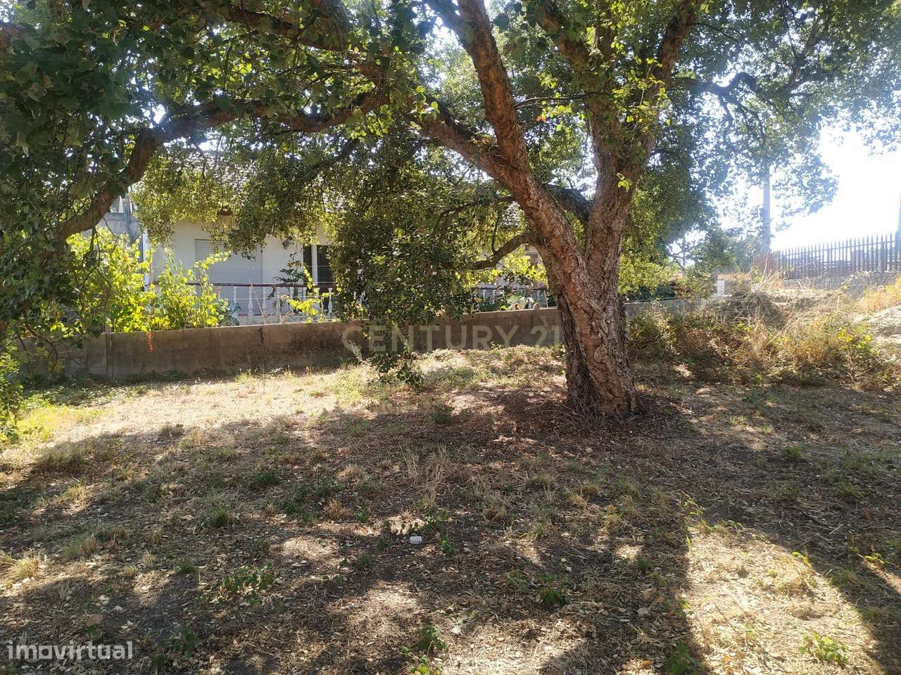 Terreno para construção | 702,84 m2 | Amor - Leiria - Grande imagem: 3/9