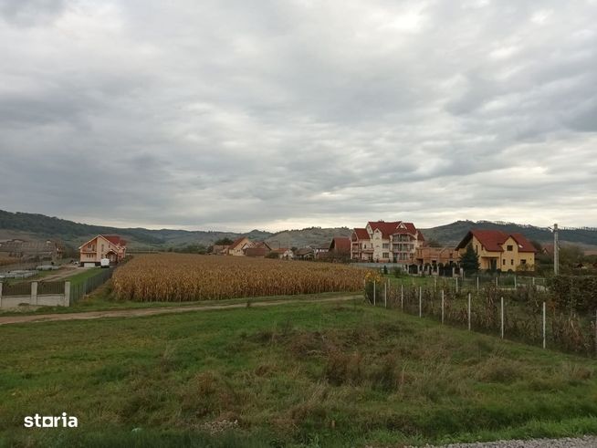 Teren intravilan în Sighisoara - Albești, jud. Mureș-4