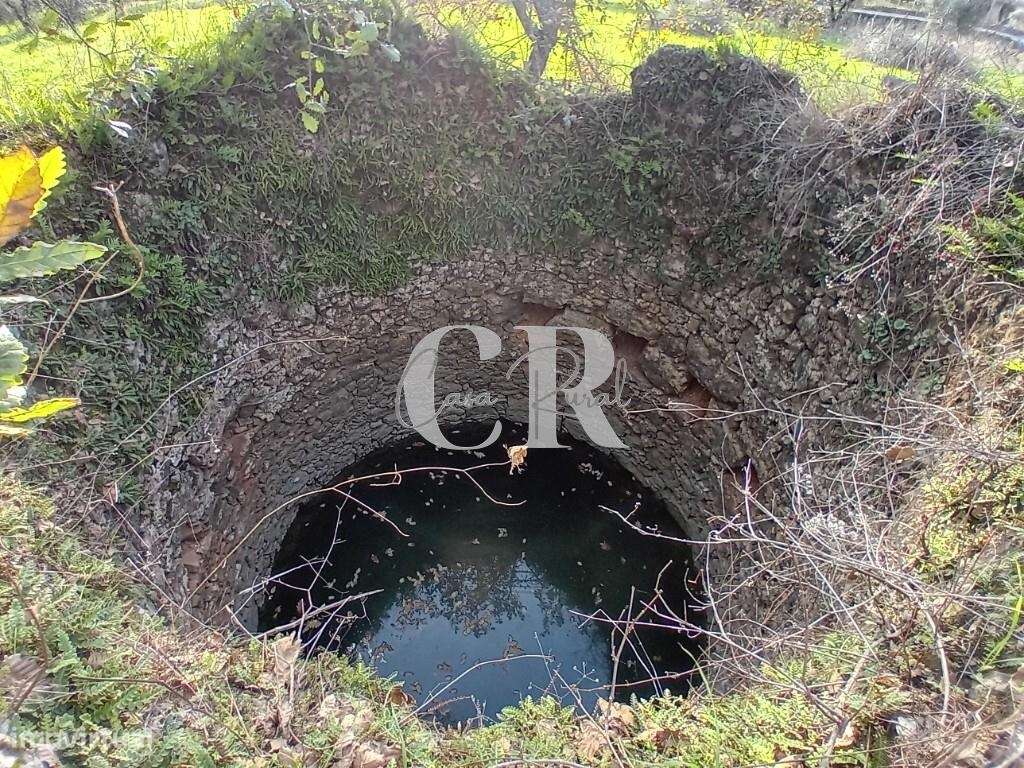 Excelente terreno para construção com cerca de 3.400m2 em Aguda - Figu - Grande imagem: 5/14