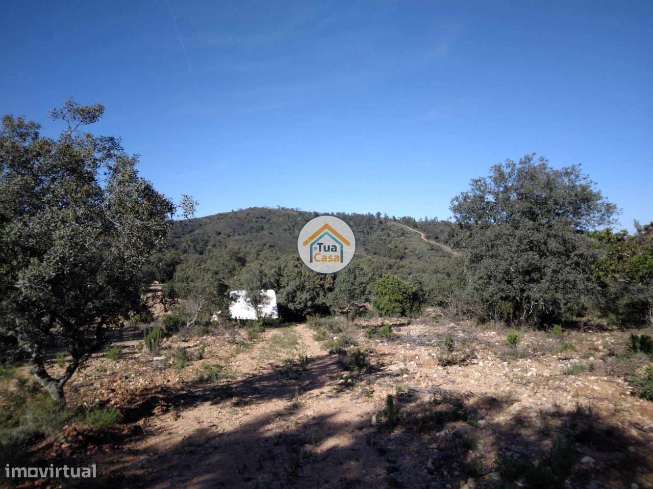Terreno Rústico com Furo nos Arredores de São Brás de Alportel - Grande imagem: 4/16