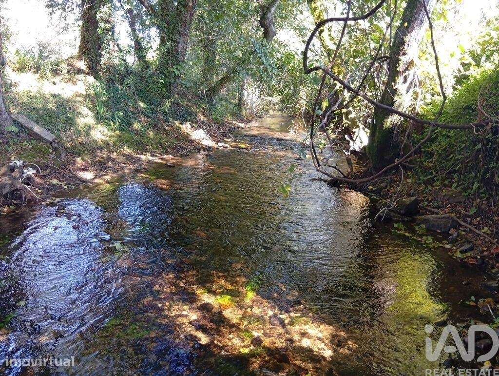 Terreno em Anais de 9845,00 m2 - Grande imagem: 5/30