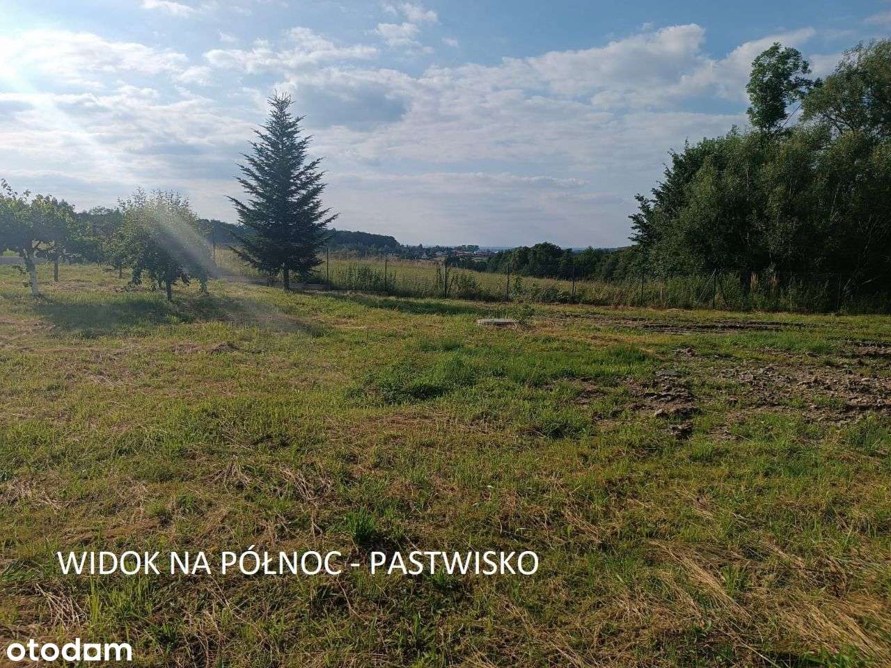 Górki Wielkie słoneczna, ogrodzona działka - Pełny obrazek: 5/13