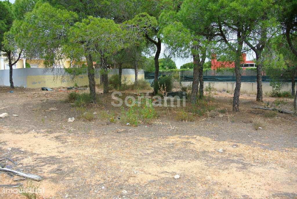 Terreno Para Construção  Venda em Almancil,Loulé - Grande imagem: 3/3