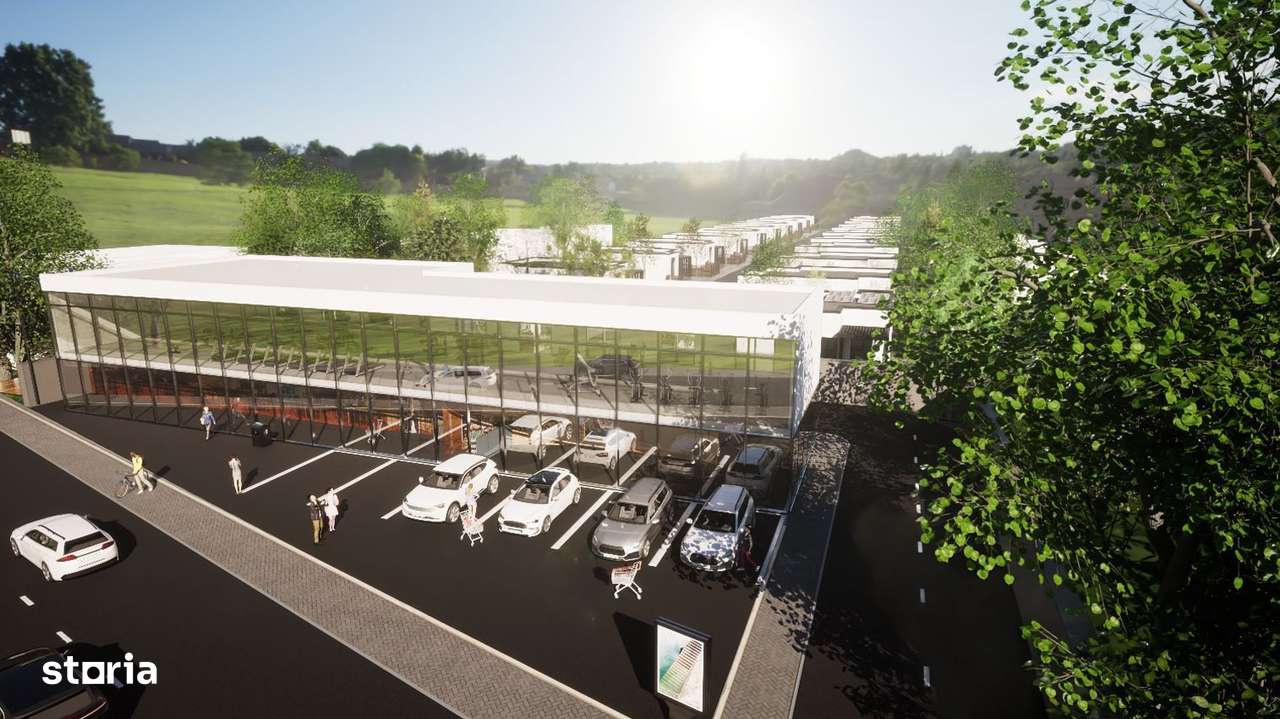 Teren intravilan 26.300 mp Saftica Balotesti - PUZ în lucru-6