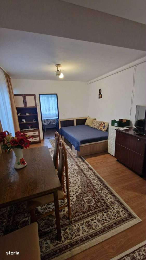 Apartament 1 camera Marasti - Imagine principală: 4/8