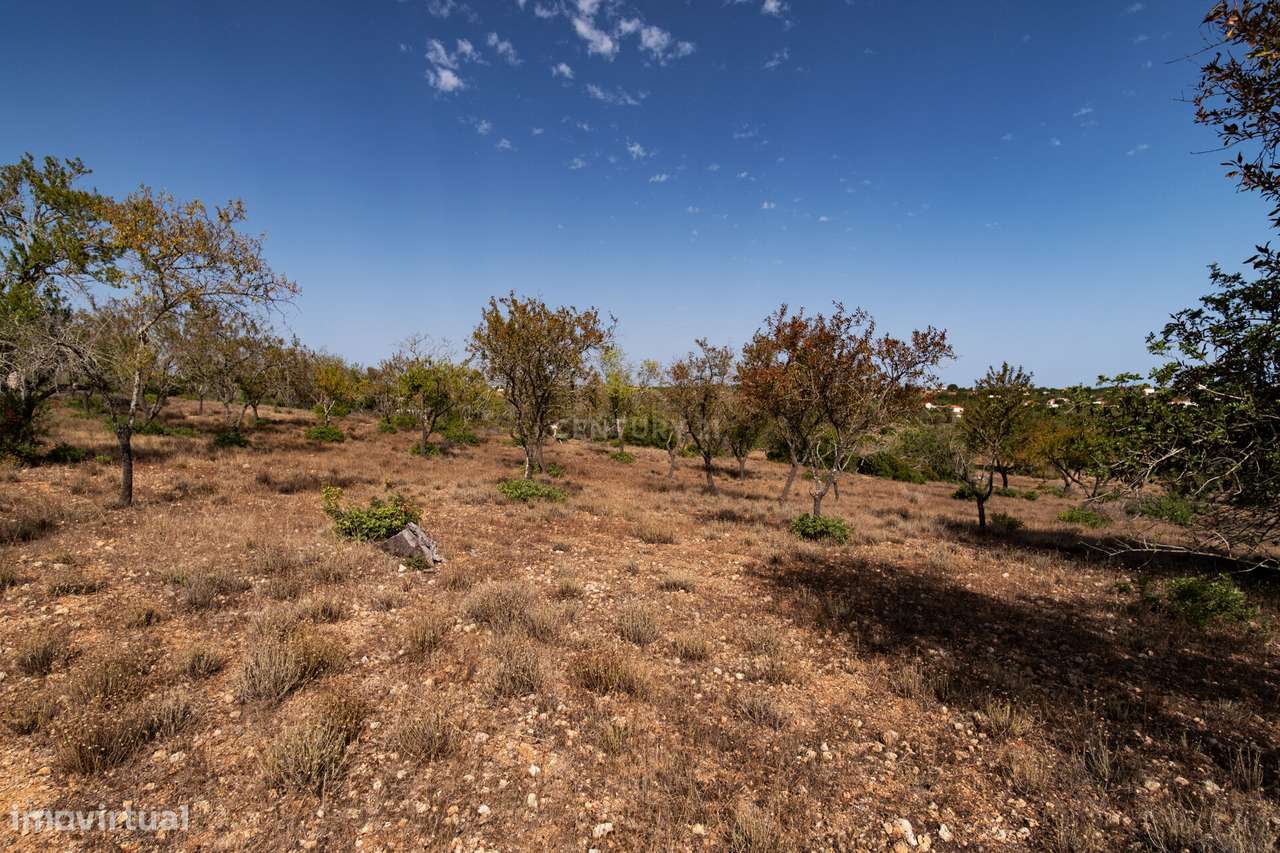 Terreno Rústico com 21 770m2 nos Canais de Albufeira - Grande imagem: 5/6