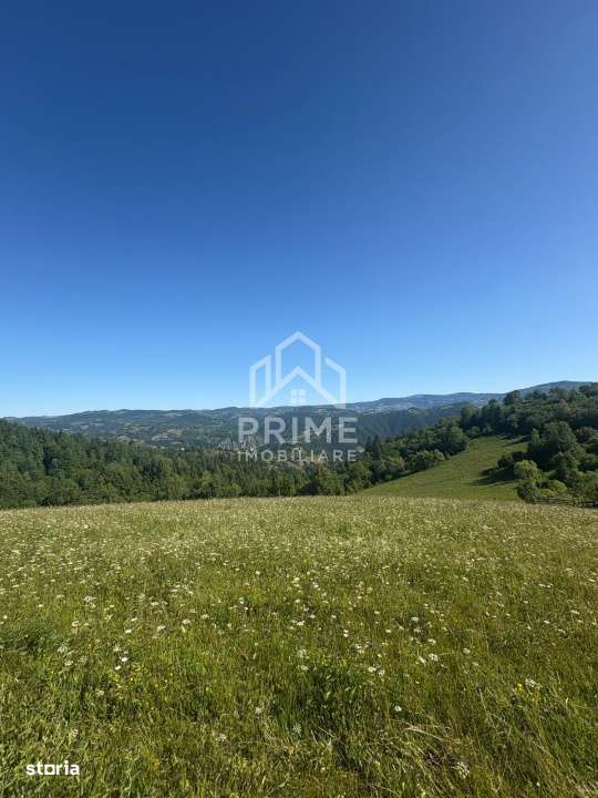 Teren intravilan de vanzare – 11.136 mp | ALBAC | CU POSIBILITATE DE - Imagine principală: 3/3