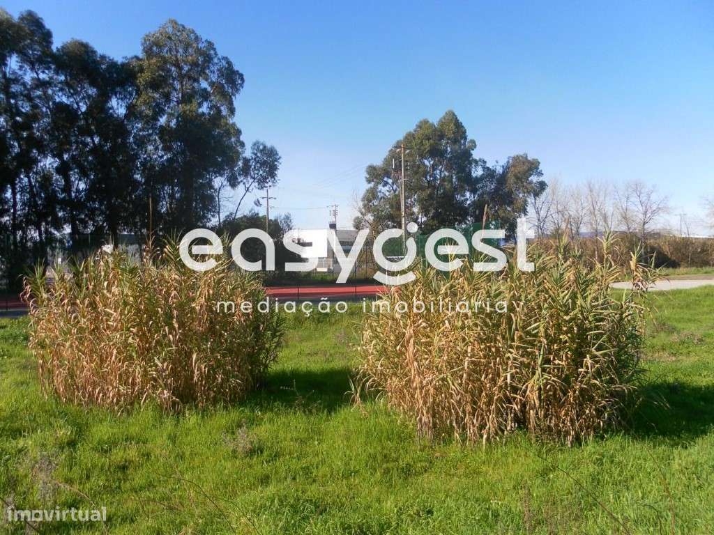 Lote de terreno urbano com 253m2 para moradia - Entroncamento - Grande imagem: 3/9