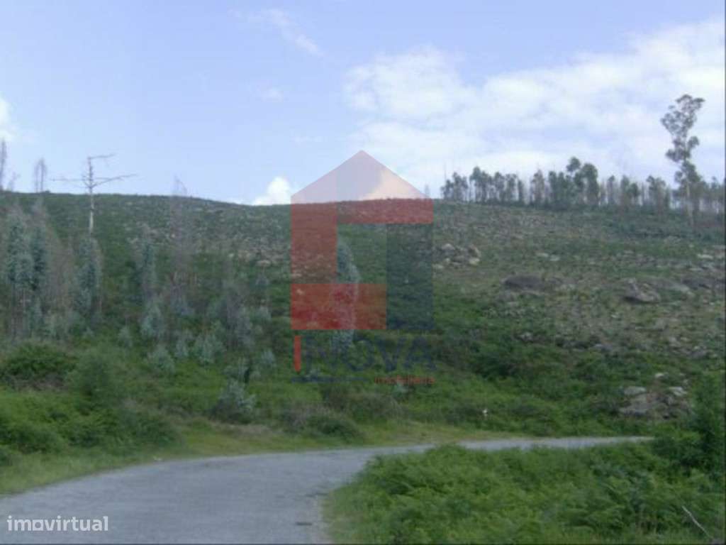 Terreno, Dossãos - Grande imagem: 4/4