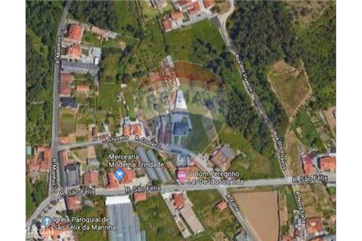 Terreno c/ pinheiros. Possibilidade de lotear hab - Grande imagem: 4/10