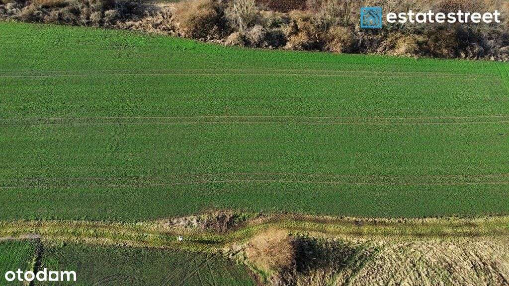 Rogóżno – działka pod zabudowę 1200 m² - Pełny obrazek: 3/4