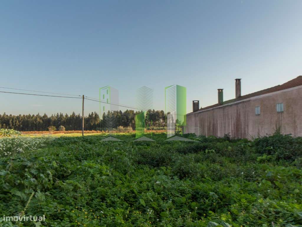 Terreno Venda Cantanhede - Grande imagem: 4/13