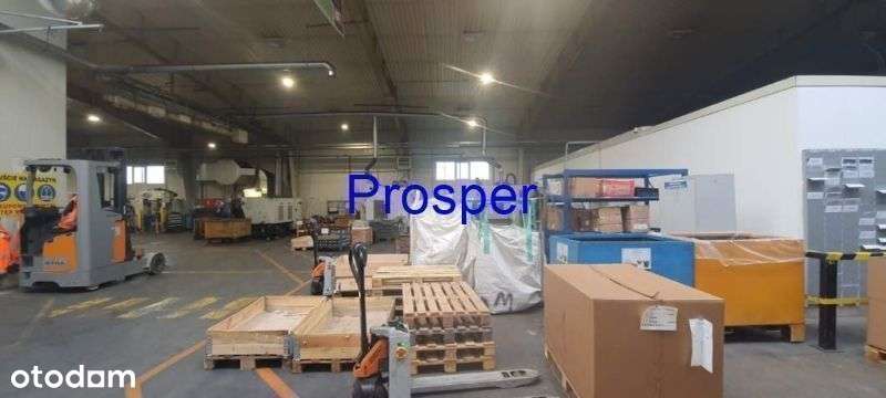 Produkcja wys.5- 7,90m prą 200kw - Pełny obrazek: 5/5