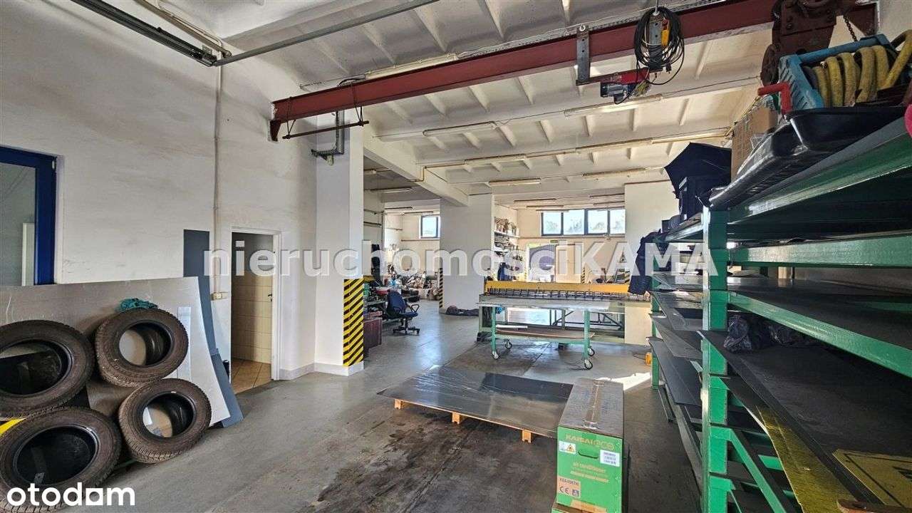 Hala/Magazyn, 1 603,55 m², Bielsko-Biała-16