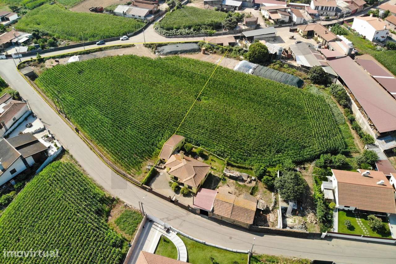 Terreno com Elevado Potencial para Investimento – Avanca, Estarreja-8