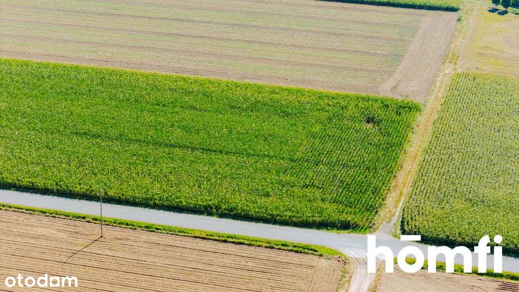 Dąbrowa k. Oleśnicy | 71 ar | Mpzp - Pełny obrazek: 5/20