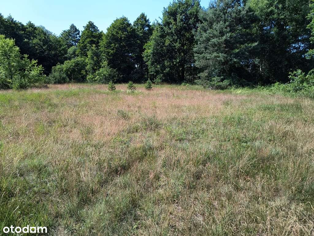 Działka budowlana Drawski Młyn (gm. Drawsko), warunki zabudowy-2