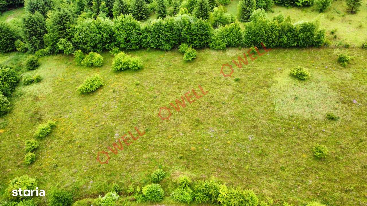 De vânzare teren intravilan în Vlădeni, comuna Dumbrăvița - Imagine principală: 4/8