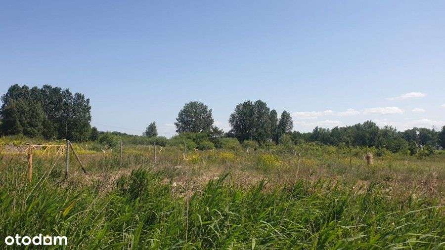 Działka, 1 370 m², Międzywodzie - Pełny obrazek: 5/10