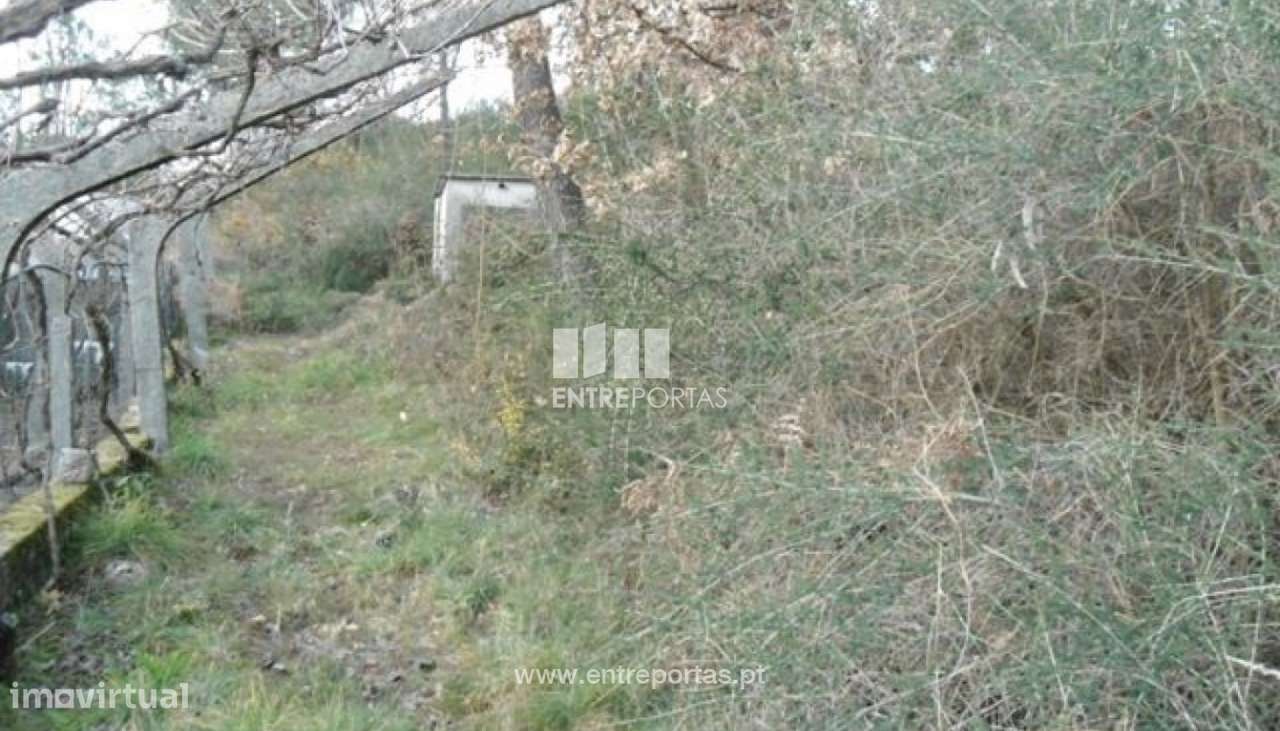 Venda Terreno, Campelo, Baião - Grande imagem: 4/8