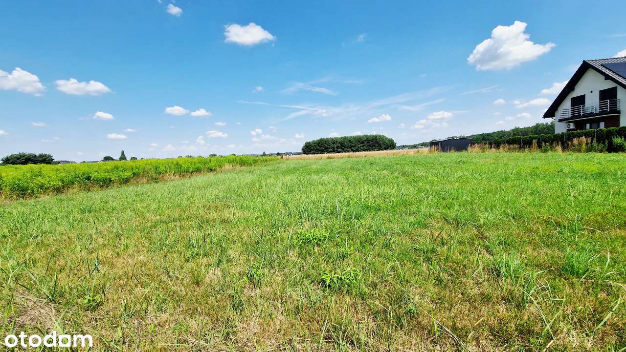 Orzesze Gardawice 1106 m2 - Pełny obrazek: 3/11