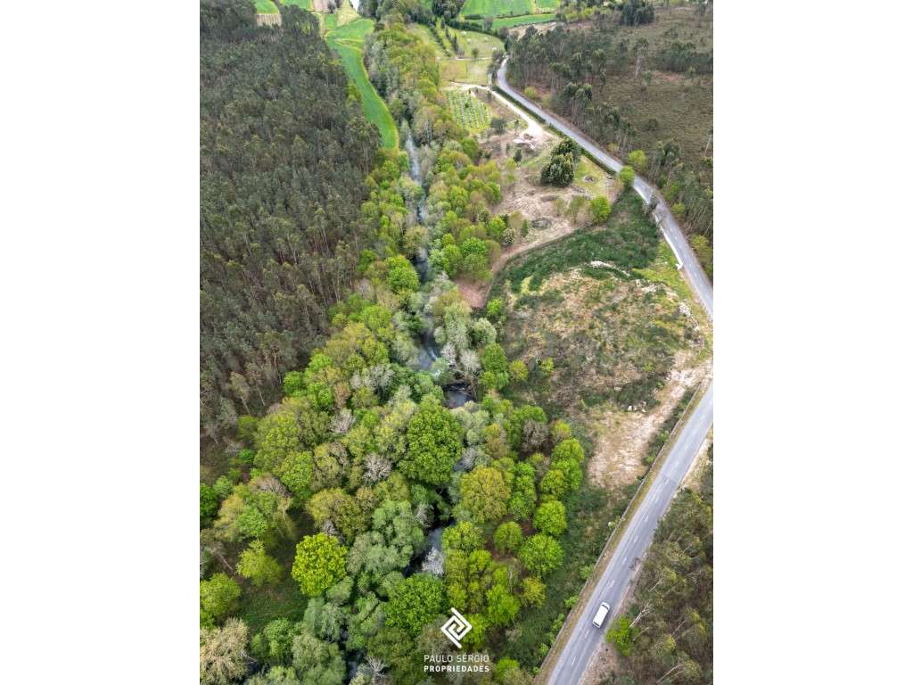 Terreno 60000m2, para fins turísticos junto ao Rio Neiva - Grande imagem: 4/17